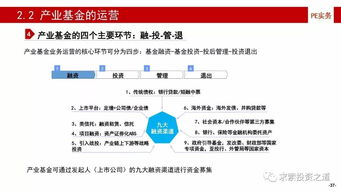 產(chǎn)業(yè)基金全過(guò)程運(yùn)作 構(gòu)建、投資、投后管理與風(fēng)險(xiǎn)控制解析
